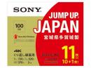 SONY 11BNE3VZPS2 [BD-RE XL 2倍速 11枚組]