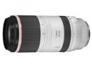 CANON RF100-500mm F4.5-7.1 L IS USM